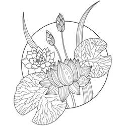 Dibujos para colorear: Loto - Dibujos para Colorear e Imprimir Gratis