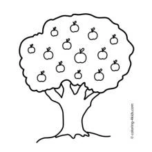 Dibujos para colorear: Manzano - Dibujos para Colorear e Imprimir Gratis