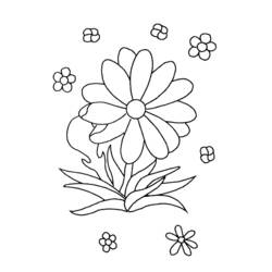 Dibujo para colorear: Margarita (Naturaleza y Estaciones) #161390 - Dibujos para Colorear e Imprimir Gratis