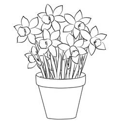 Dibujo para colorear: Narciso (Naturaleza y Estaciones) #189972 - Dibujos para Colorear e Imprimir Gratis