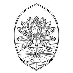 Dibujo nenúfar (Naturaleza y Estaciones) #221865 para imprimir y colorear