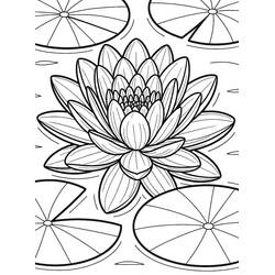 nenúfar - Dibujos para colorear gratis
