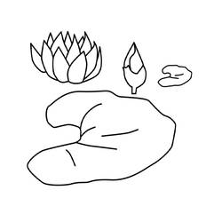 Dibujo nenúfar (Naturaleza y Estaciones) #221873 para imprimir y colorear