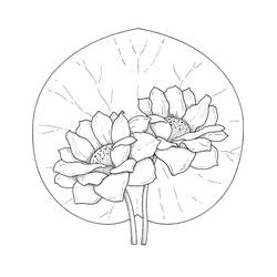 Dibujo nenúfar (Naturaleza y Estaciones) #221875 para imprimir y colorear