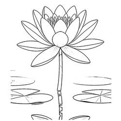 Dibujo nenúfar (Naturaleza y Estaciones) #221883 para imprimir y colorear