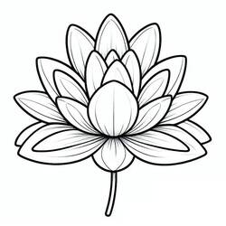 Dibujo nenúfar (Naturaleza y Estaciones) #221885 para imprimir y colorear