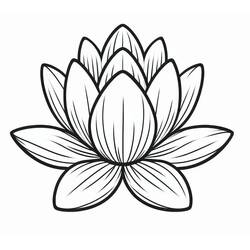 Dibujo nenúfar (Naturaleza y Estaciones) #221892 para imprimir y colorear