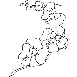 Dibujos para colorear: Orquídea - Dibujos para Colorear e Imprimir Gratis