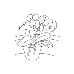 Dibujo para colorear: Orquídea (Naturaleza y Estaciones) #176364 - Dibujos para Colorear e Imprimir Gratis