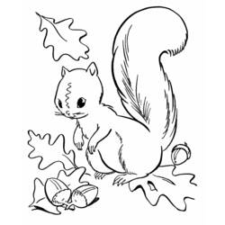 Dibujo para colorear: Otoño (Naturaleza y Estaciones) #164045 - Dibujos para Colorear e Imprimir Gratis