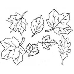 Dibujo para colorear: Otoño (Naturaleza y Estaciones) #164059 - Dibujos para Colorear e Imprimir Gratis