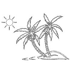 Dibujo para colorear: Palmera (Naturaleza y Estaciones) #161114 - Dibujos para Colorear e Imprimir Gratis