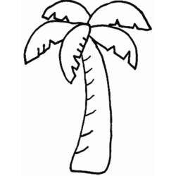 Dibujos para colorear: Palmera - Dibujos para Colorear e Imprimir Gratis