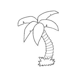Dibujo para colorear: Palmera (Naturaleza y Estaciones) #161130 - Dibujos para Colorear e Imprimir Gratis