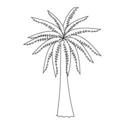 Dibujo para colorear: Palmera (Naturaleza y Estaciones) #161137 - Dibujos para Colorear e Imprimir Gratis