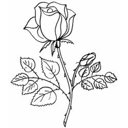Dibujo para colorear: Ramo de Flores (Naturaleza y Estaciones) #160736 - Dibujos para Colorear e Imprimir Gratis
