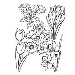 Dibujo para colorear: Ramo de Flores (Naturaleza y Estaciones) #160855 - Dibujos para Colorear e Imprimir Gratis