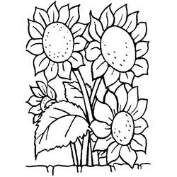 Dibujo para colorear: Ramo de Flores (Naturaleza y Estaciones) #160964 - Dibujos para Colorear e Imprimir Gratis