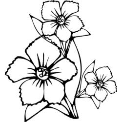 Dibujo para colorear: Ramo de Flores (Naturaleza y Estaciones) #161003 - Dibujos para Colorear e Imprimir Gratis