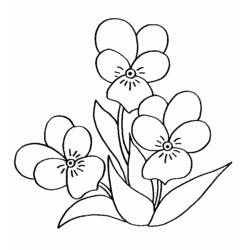 Dibujo para colorear: Ramo de Flores (Naturaleza y Estaciones) #161093 - Dibujos para Colorear e Imprimir Gratis