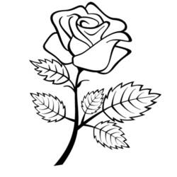 Dibujo para colorear: Rosas (Naturaleza y Estaciones) #161936 - Dibujos para Colorear e Imprimir Gratis