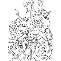 Dibujo Rosas (Naturaleza y Estaciones) #161944 para imprimir y colorear