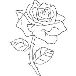 Dibujo para colorear: Rosas (Naturaleza y Estaciones) #161971 - Dibujos para Colorear e Imprimir Gratis