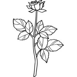 Dibujo para colorear: Rosas (Naturaleza y Estaciones) #161973 - Dibujos para Colorear e Imprimir Gratis
