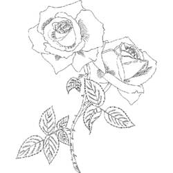 Dibujo Rosas (Naturaleza y Estaciones) #161977 para imprimir y colorear