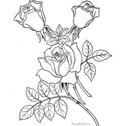 Dibujo para colorear: Rosas (Naturaleza y Estaciones) #161984 - Dibujos para Colorear e Imprimir Gratis
