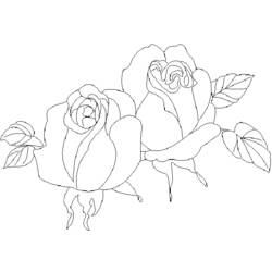 Dibujo Rosas (Naturaleza y Estaciones) #161988 para imprimir y colorear