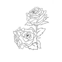 Dibujo Rosas (Naturaleza y Estaciones) #176447 para imprimir y colorear