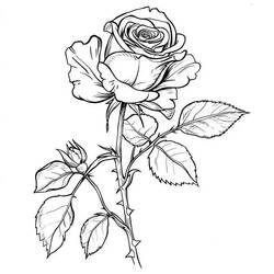 Dibujo Rosas (Naturaleza y Estaciones) #218713 para imprimir y colorear