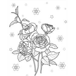 Dibujo Rosas (Naturaleza y Estaciones) #218723 para imprimir y colorear