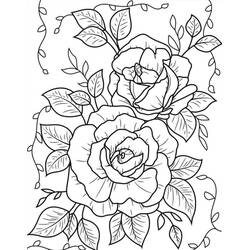Dibujo Rosas (Naturaleza y Estaciones) #218729 para imprimir y colorear
