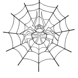 Dibujos para colorear: Telaraña - Dibujos para Colorear e Imprimir Gratis