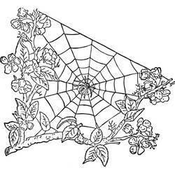 Dibujo para colorear: Telaraña (Naturaleza y Estaciones) #204193 - Dibujos para Colorear e Imprimir Gratis