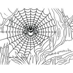Dibujo para colorear: Telaraña (Naturaleza y Estaciones) #204195 - Dibujos para Colorear e Imprimir Gratis