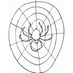 Dibujo para colorear: Telaraña (Naturaleza y Estaciones) #204207 - Dibujos para Colorear e Imprimir Gratis
