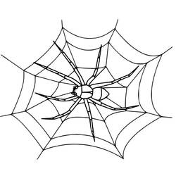 Dibujo para colorear: Telaraña (Naturaleza y Estaciones) #204211 - Dibujos para Colorear e Imprimir Gratis