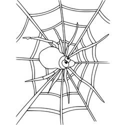 Dibujo para colorear: Telaraña (Naturaleza y Estaciones) #204212 - Dibujos para Colorear e Imprimir Gratis