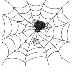 Dibujo para colorear: Telaraña (Naturaleza y Estaciones) #204218 - Dibujos para Colorear e Imprimir Gratis