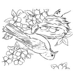 Dibujo para colorear: Temporada de Primavera (Naturaleza y Estaciones) #164821 - Dibujos para Colorear e Imprimir Gratis