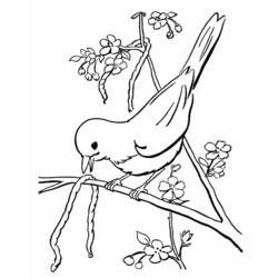 Dibujo para colorear: Temporada de Primavera (Naturaleza y Estaciones) #164837 - Dibujos para Colorear e Imprimir Gratis