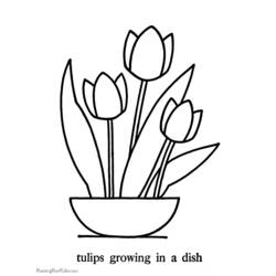 Dibujo para colorear: Tulipán (Naturaleza y Estaciones) #161646 - Dibujos para Colorear e Imprimir Gratis