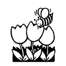 Dibujo Tulipán (Naturaleza y Estaciones) #161694 para imprimir y colorear