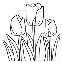 Dibujo para colorear: Tulipán (Naturaleza y Estaciones) #161701 - Dibujos para Colorear e Imprimir Gratis