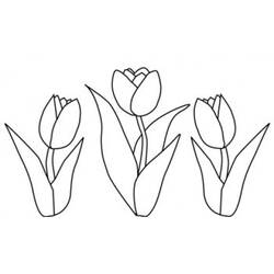 Dibujo para colorear: Tulipán (Naturaleza y Estaciones) #161755 - Dibujos para Colorear e Imprimir Gratis