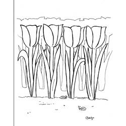 Dibujo para colorear: Tulipán (Naturaleza y Estaciones) #161757 - Dibujos para Colorear e Imprimir Gratis