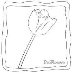 Dibujo Tulipán (Naturaleza y Estaciones) #161760 para imprimir y colorear
